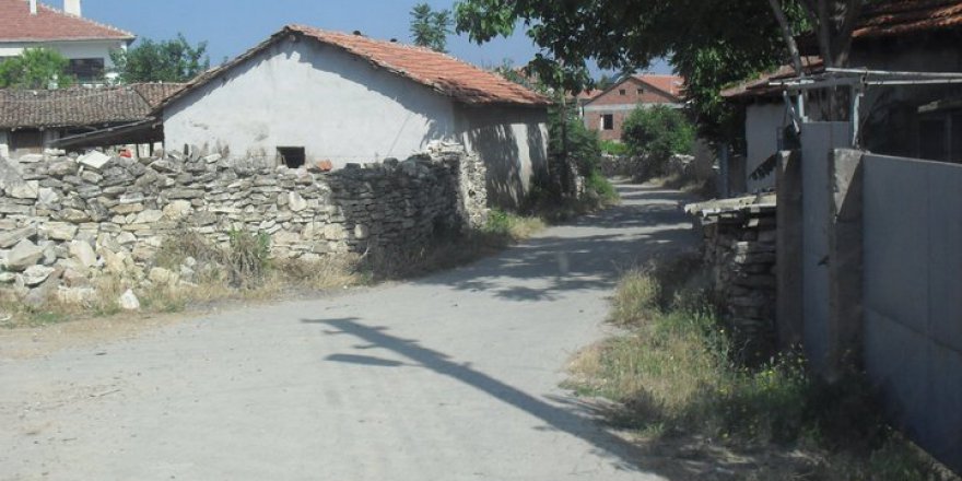 şakirabi com türk paola saulino age