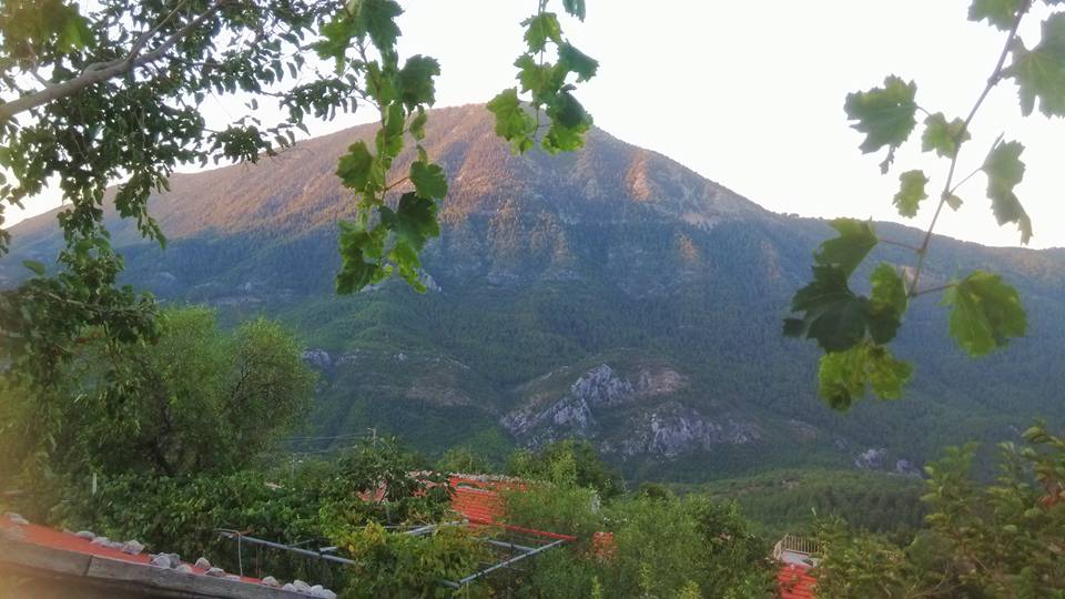 Ağrı Eleşkirt Güneykaya Köyü Resimleri 2