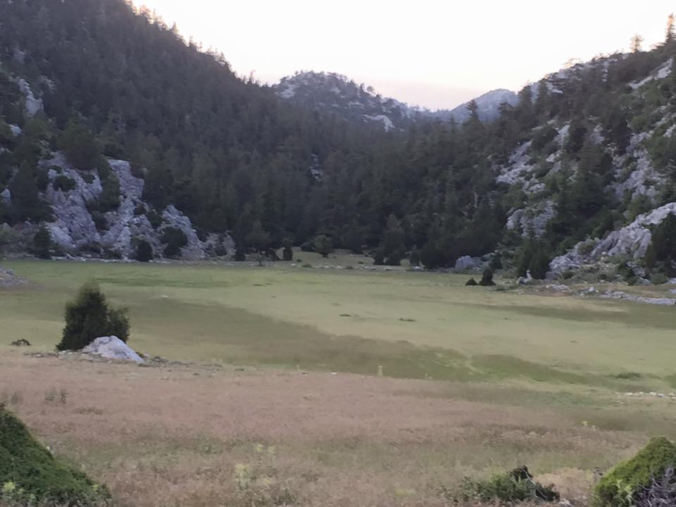 Ağrı Eleşkirt Güneykaya Köyü Resimleri 5