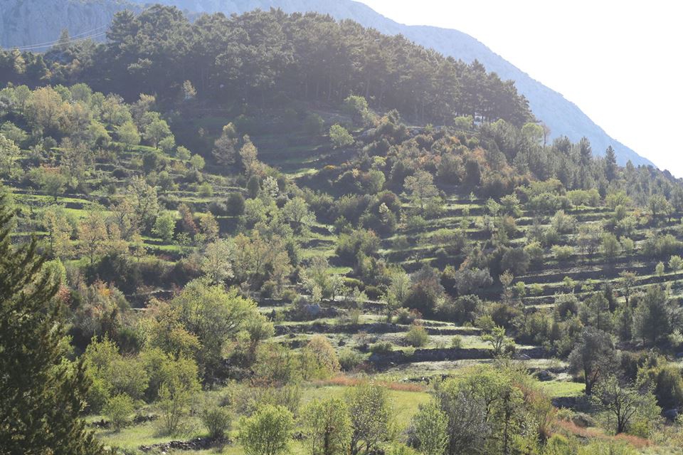 Ağrı Eleşkirt Güneykaya Köyü Resimleri 7