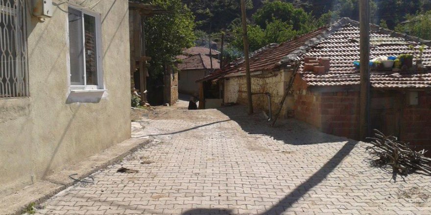 Bigadiç Panayır Köyü Resimleri