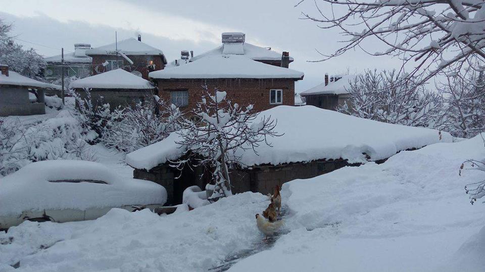 Bigadiç Yörücekler Köyü Resimleri 4