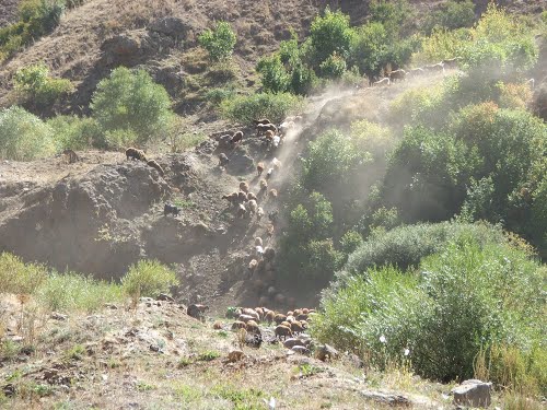 Ağrı Eleşkirt Güvence Köyü Resimleri 16