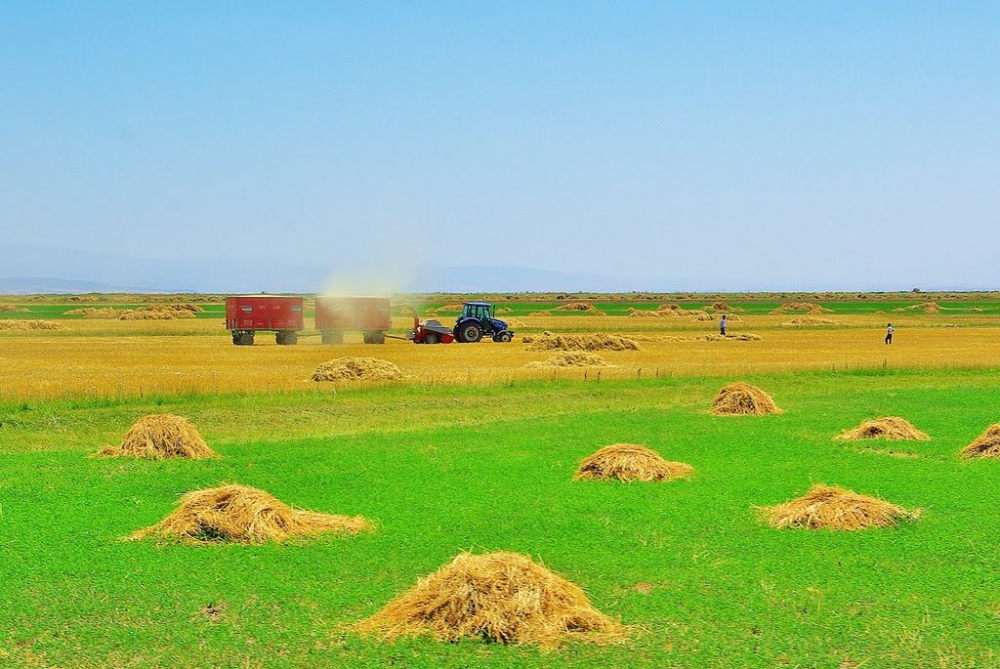 Ağrı Eleşkirt Güvence Köyü Resimleri 18