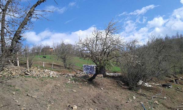 Amasya Abacı Köyü Resimleri 6