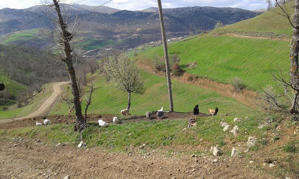 Amasya Abacı Köyü Resimleri 7