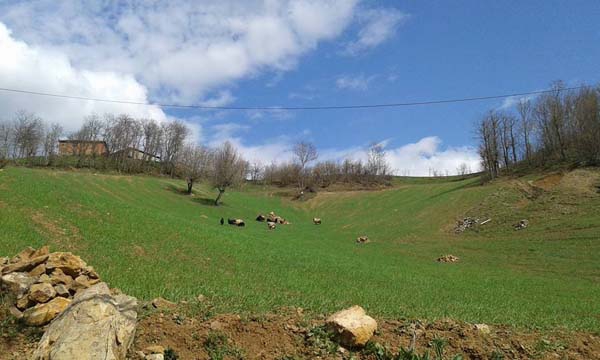 Amasya Abacı Köyü Resimleri 8