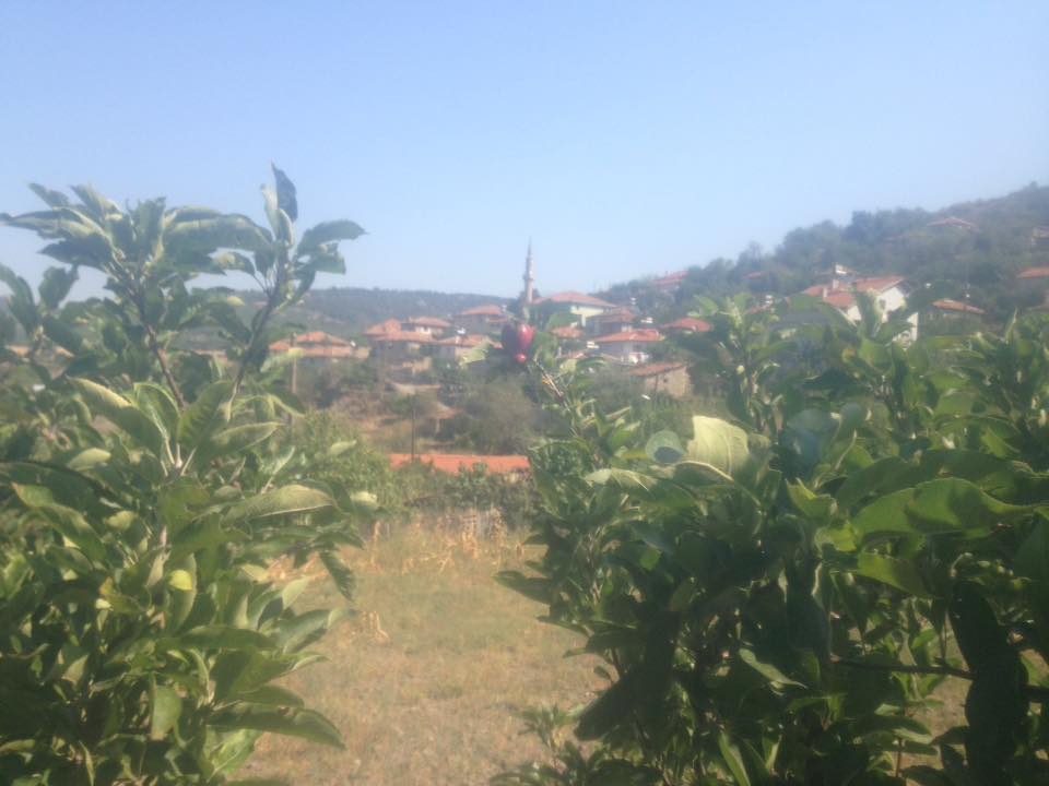 Dursunbey Akçagüney Köyü Resimleri 3
