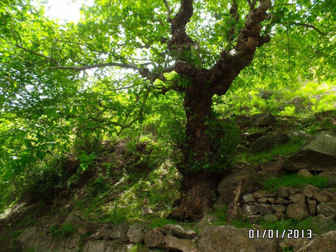 Dursunbey Akçagüney Köyü Resimleri 5