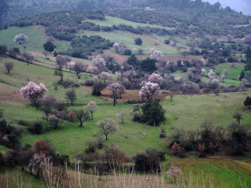 Dursunbey Akyayla Köyü Resimleri 8