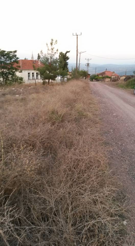 Dursunbey Alagüney Köyü Resimleri 1