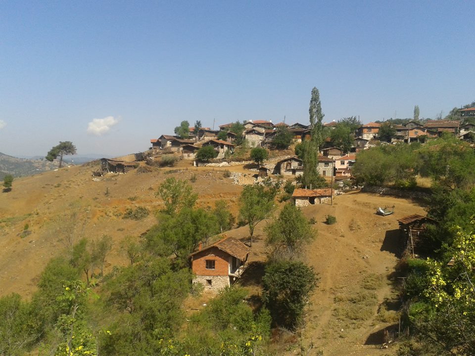 Dursunbey Ayvacık Köyü Resimleri 1