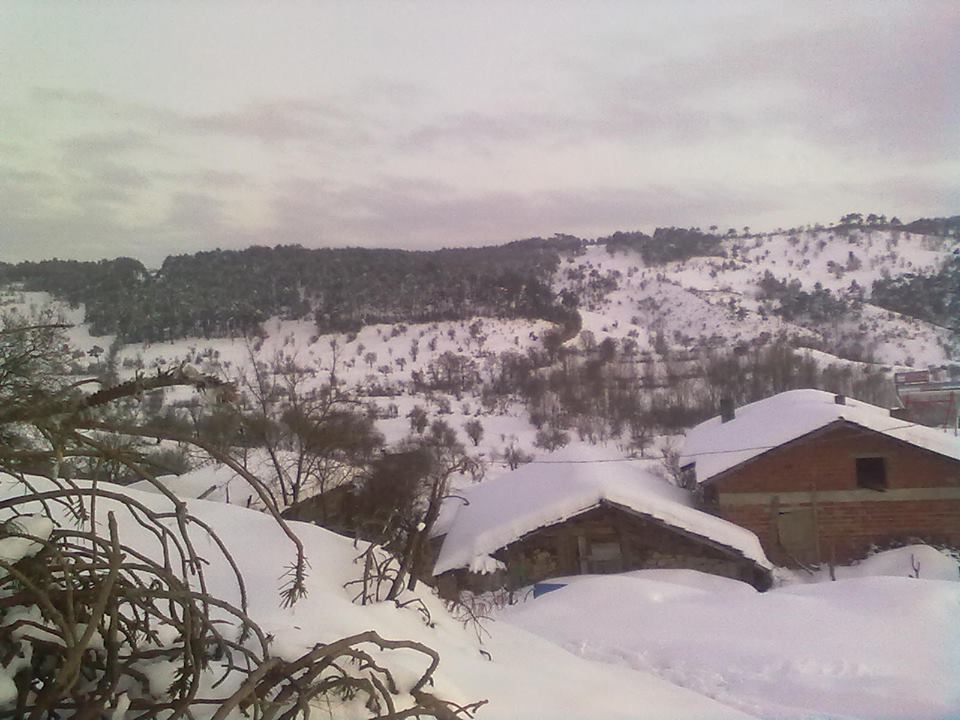 Dursunbey Ayvacık Köyü Resimleri 2