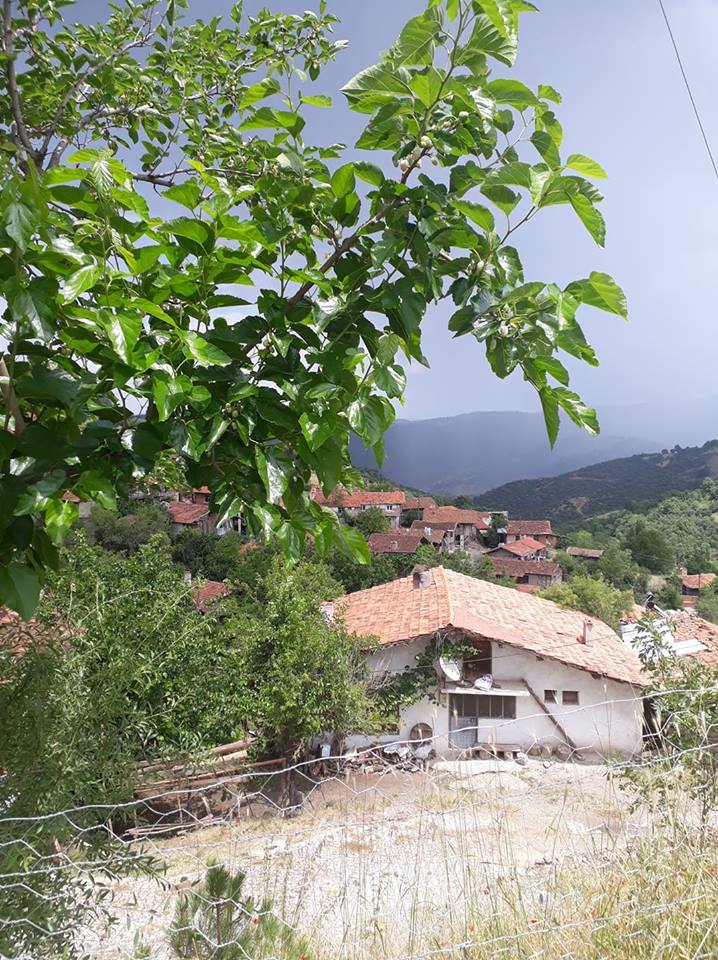 Dursunbey Aziziye Köyü Resimleri 1