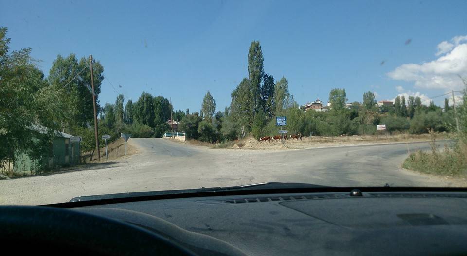 Şiran Bilgili Köyü Resimleri 4