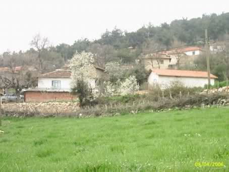 Dursunbey Bayırdüzügüney Köyü Resimleri 1