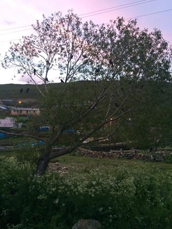 Göle Esenboğaz Köyü  Resimleri 4