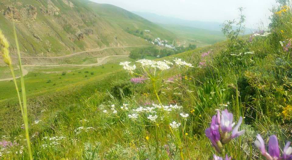 Ağrı Eleşkirt İkizgöl Köyü Resimleri 31