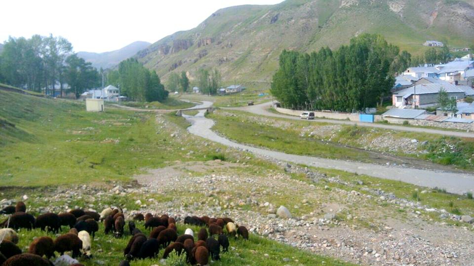 Ağrı Eleşkirt İkizgöl Köyü Resimleri 44