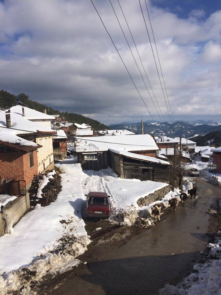 Dursunbey Çelikler Köyü Resimleri 2