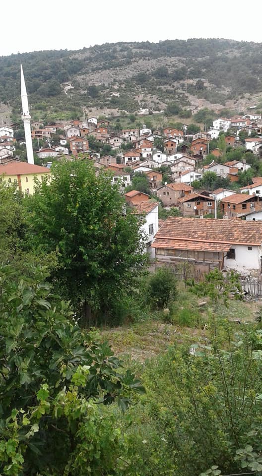Dursunbey Delice Köyü Resimleri 5