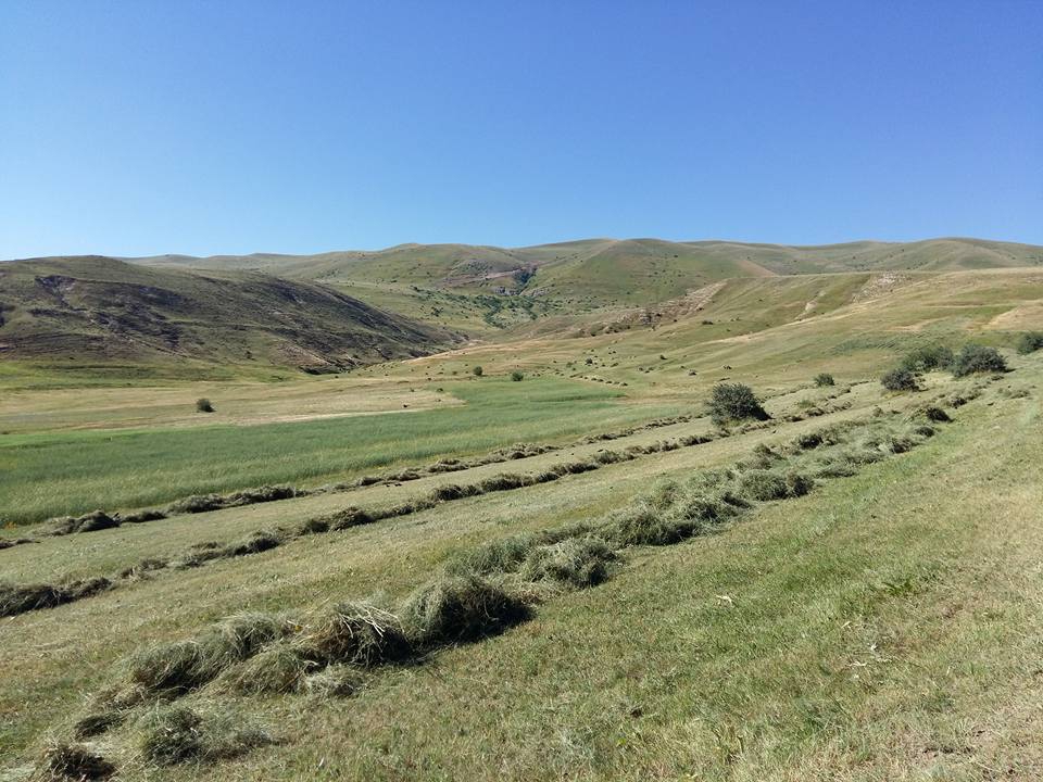 Ağrı Eleşkirt İndere Köyü Resimleri 20