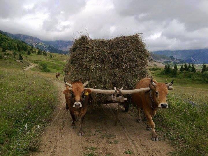 Ağrı Eleşkirt İndere Köyü Resimleri 26