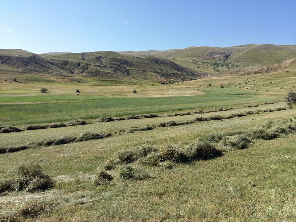 Ağrı Eleşkirt İndere Köyü Resimleri 41