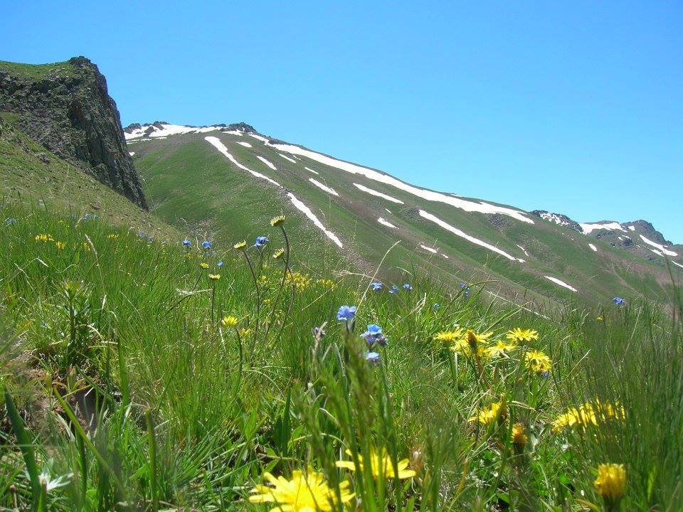 Ağrı Eleşkirt İndere Köyü Resimleri 48