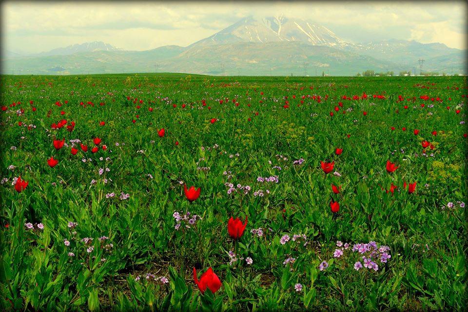 Ağrı Eleşkirt İndere Köyü Resimleri 49