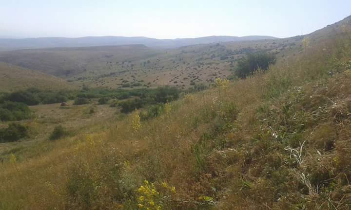 Ağrı Eleşkirt İndere Köyü Resimleri 5