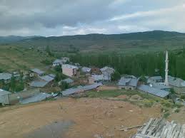 Şiran Darıbükü Köyü Resimleri 1