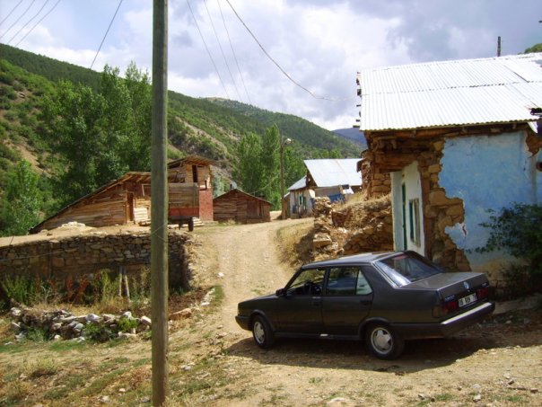 Şiran Darıbükü Köyü Resimleri 2