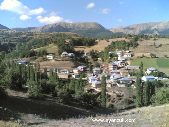 Şiran Eldiğin Köyü Resimleri 1