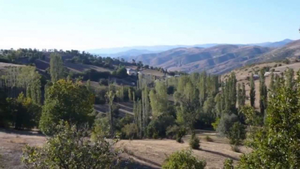 Şiran Eldiğin Köyü Resimleri 2