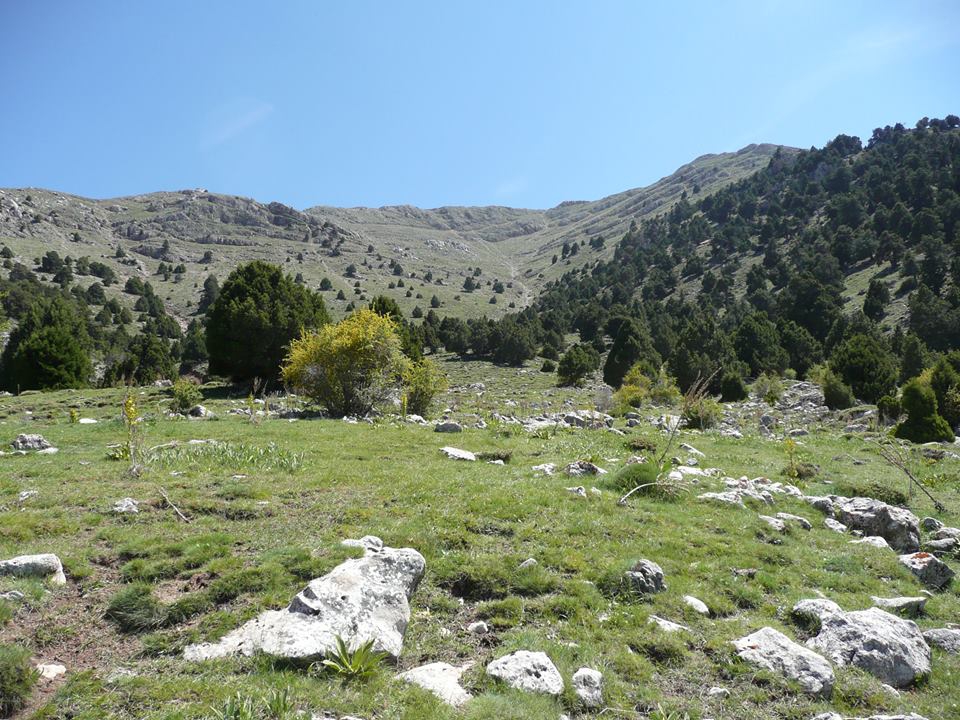 Antalya Korkuteli Söbüce Köyü Resimleri 19