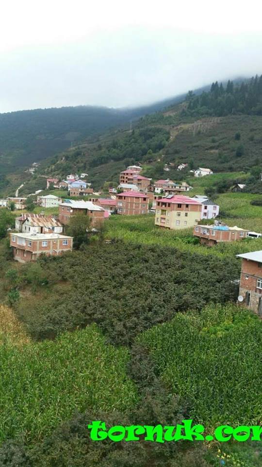 Şiran Günyüzü Köyü Resimleri 1