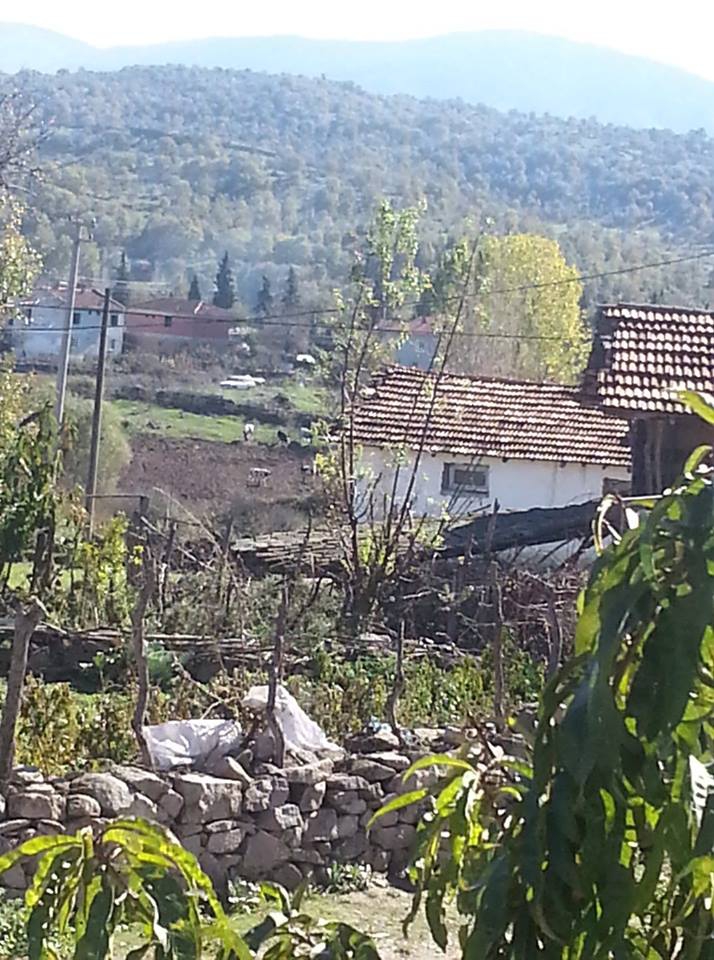 Dursunbey Göbül Köyü Resimleri 3