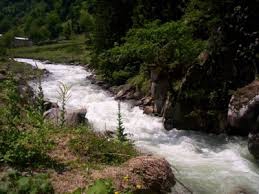 Dursunbey Gökçepınar Köyü Resimleri 6