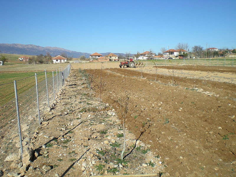 Antalya Korkuteli Yalınlıgediği Köyü Resimleri 5