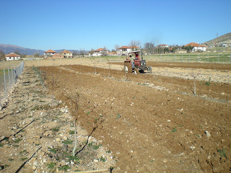 Antalya Korkuteli Yalınlıgediği Köyü Resimleri 7