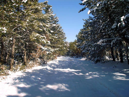 Dursunbey Hacıahmetpınarı Köyü Resimleri 3