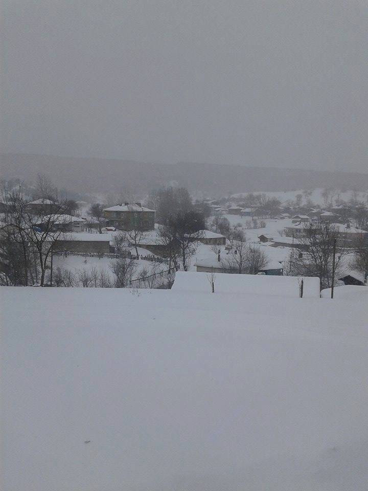 Dursunbey Hamzacık Köyü Resimleri 1
