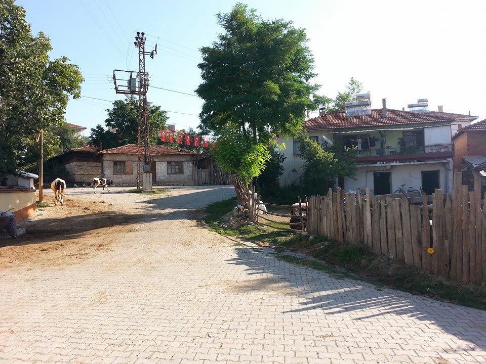 Dursunbey Hamzacık Köyü Resimleri 2