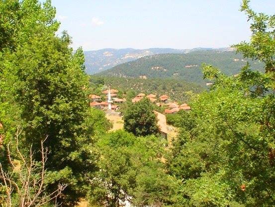 Dursunbey Hasanlar Köyü Resimleri 8