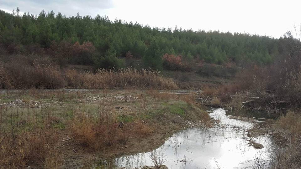 Dursunbey Hopanlar Köyü Resimleri 7