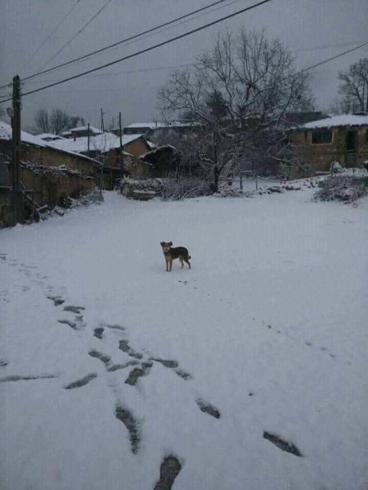 Dursunbey Işıklar Köyü Resimleri 2