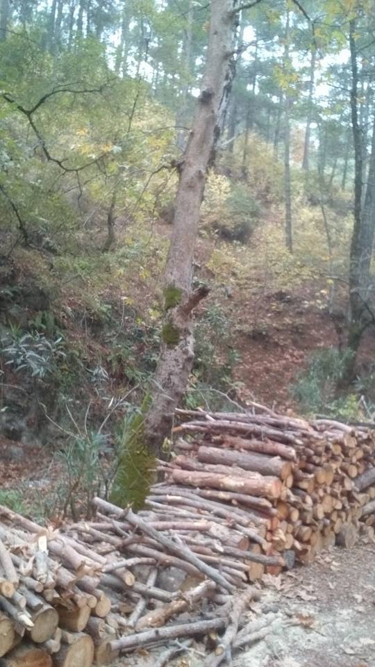 Antalya Manavgat Ahmetler Köyü Resimleri 5