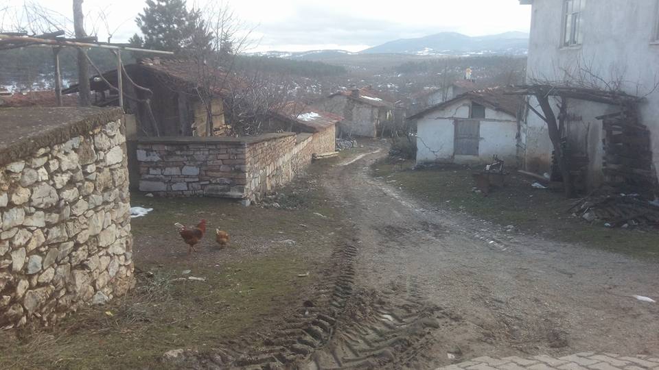 Dursunbey Karagöz Köyü Resimleri 1