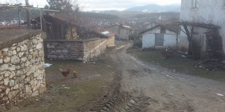 Dursunbey Karagöz Köyü Resimleri